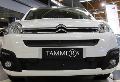 Trim/Protection Strip, radiator grille Citroen Berlingo 2015-2020