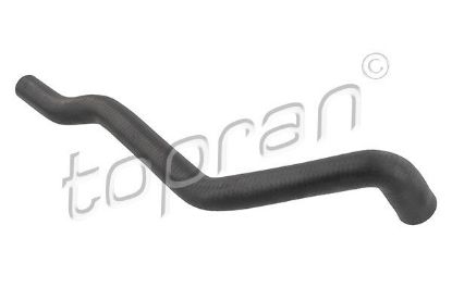 Radiator Hose VAG