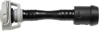 Radiator Hose AUDI 8W0121081BK