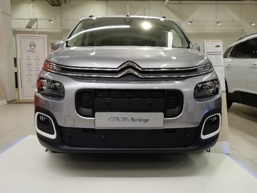 Trim/Protection Strip, radiator grille Citroen Berlingo 20-