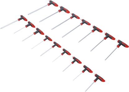 Screwdriver Set 16-piece Internal Hexagon and T-Star Key Set