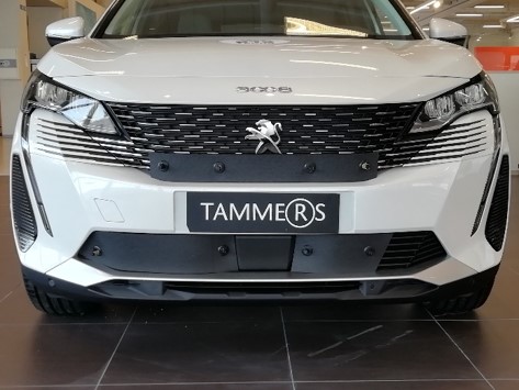 Trim/Protection Strip, radiator grille Peugeot 3008 2021-