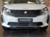 Trim/Protection Strip, radiator grille Peugeot 3008 2021-