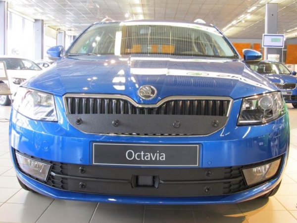 Trim/Protection Strip, radiator grille Skoda Octavia 2013-2017, ees anduriga
