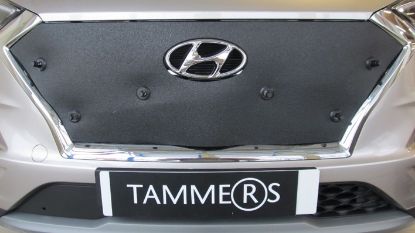 Trim/Protection Strip, radiator grille Hyundai Tucson 18-20