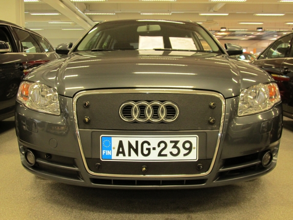 Trim/Protection Strip, radiator grille Audi A4 2004-2007