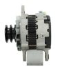 Alternator +Line Hino 50A