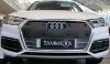 Trim/Protection Strip, radiator grille Audi Q5 2017-
