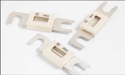 Fuse 250A 60mm 48V korpusega