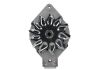 Alternator +Line Thermoking 65A