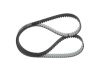 Timing Belt -