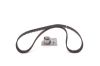 Timing Belt Kit -