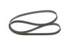 V-Ribbed Belt GENERAL MOTORS - 55565301 - 6PK1453