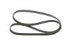 V-Ribbed Belt GENERAL MOTORS - 55565301 - 6PK1453
