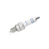 Spark Plug -