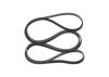 V-Ribbed Belt 4PK1040