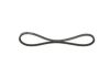 V-Belt 11,9X876