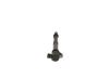 Ignition Coil Fiat