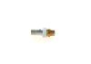 Valve, injection system -