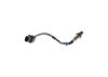 Oxygen Sensor -