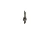 Nozzle and Holder Assembly -