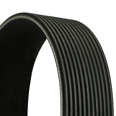 V-Ribbed Belt 12PK1830-CONT