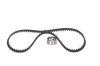 Timing Belt Kit -