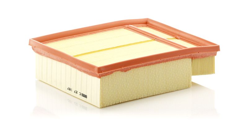 Air Filter VAG - 079 133 843 A