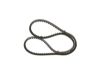 V-Belt 10X1200