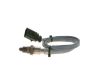 Oxygen Sensor -