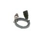 Oxygen Sensor -