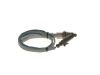 Oxygen Sensor -