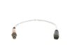 Oxygen Sensor Oxygen Sensor
