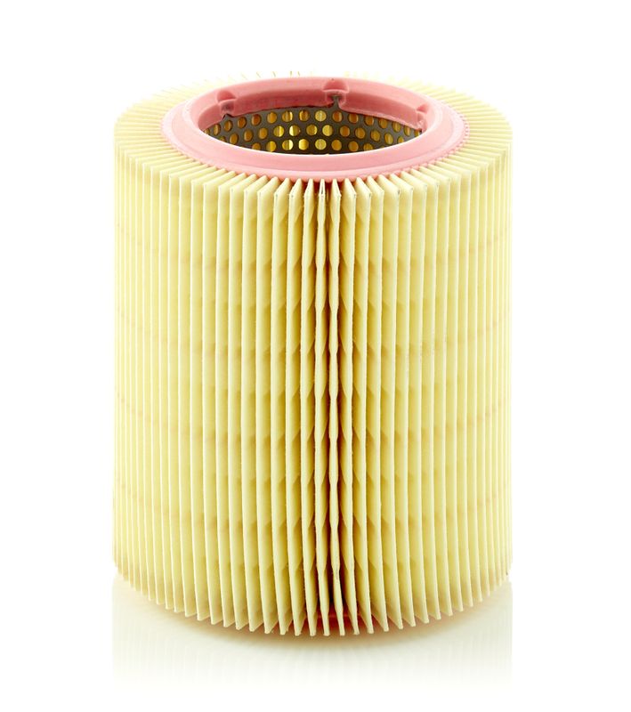 Air Filter Jaguar (GFE 1089)