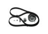 Timing Belt Kit -