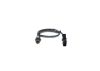 Oxygen Sensor -
