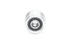 Alternator Freewheel Clutch -