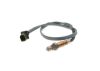 Oxygen Sensor -