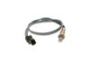 Oxygen Sensor -