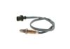 Oxygen Sensor -