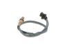 Oxygen Sensor -