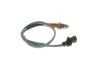 Oxygen Sensor -