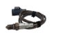 Oxygen Sensor -