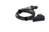 Oxygen Sensor -