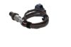 Oxygen Sensor -