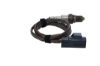 Oxygen Sensor -