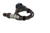 Oxygen Sensor -