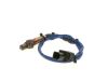 Oxygen Sensor -