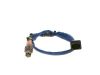 Oxygen Sensor -