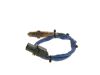 Oxygen Sensor -
